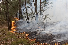 Обстановка с возгораниями: за сутки устранены 16 лесных и 88 травяных пожаров