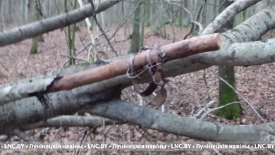 Мужчина добыл куницу — возместил более 4 тыс. руб. Теперь его будут судить в Лунинецком районе