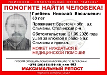 Мужчина ушел за клюквой и пропал в Столинском районе