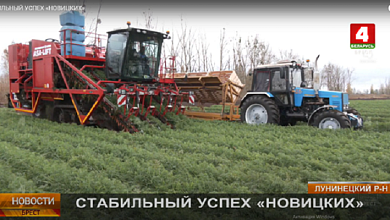 Кадры решают все! 120 тысяч тонн овощей выращено в ФК "Новицких" Лунинецкого района