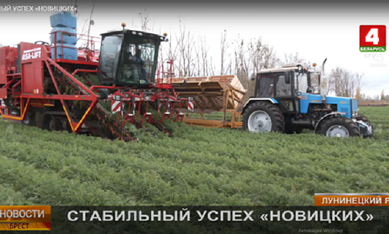 Кадры решают все! 120 тысяч тонн овощей выращено в ФК "Новицких" Лунинецкого района