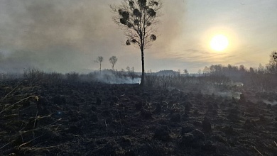 Горит болото в Брестской области
