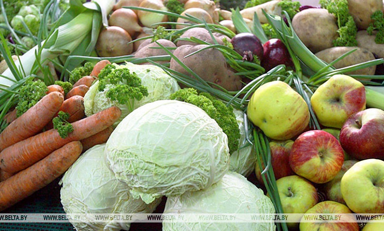 Сколько овощей заложил в стабфонды Белкоопсоюз?