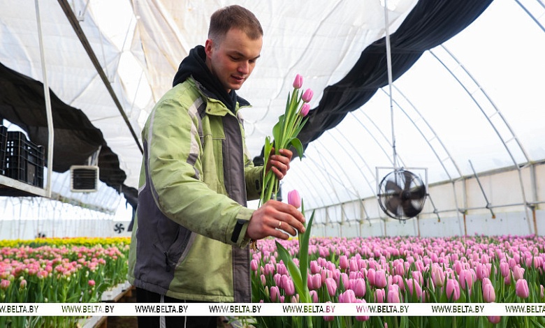 Фермер из Брестской области рассказал об изнанке цветочного бизнеса