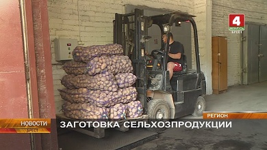 Закупка сельхозпродукции у населения и на чём специализируются районы в Брестской области 