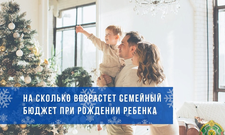 На сколько возрастет семейный бюджет при рождении ребенка? Рассказали в Митруда