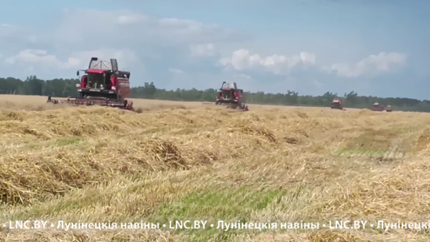 Теплая и сухая погода способствуют жатве в Лунинецком районе