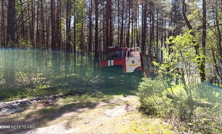 Лесной пожар локализован в Лунинецком районе   