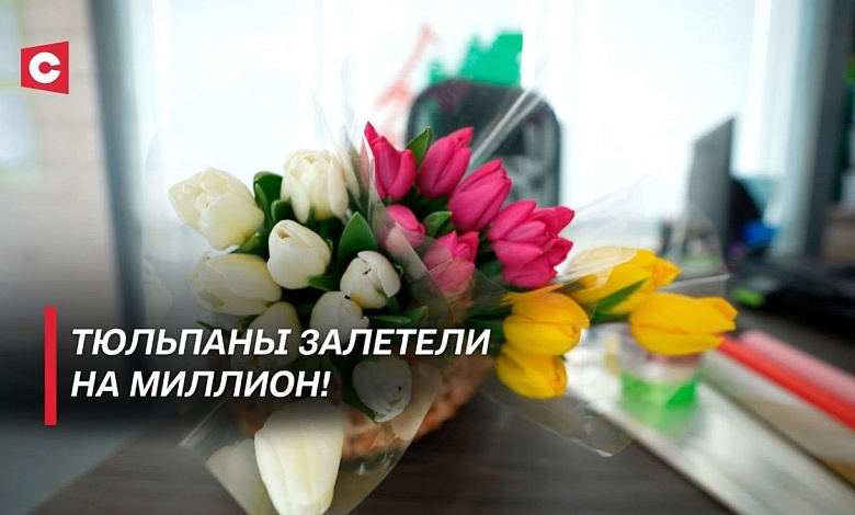 Сколько стоит запустить бизнес по выращиванию тюльпанов? Повышения цен не будет?
