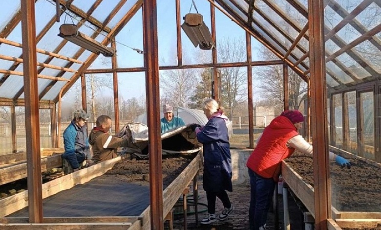В теории и на практике! Кипит работа в школьных теплицах Лунинецкого района 