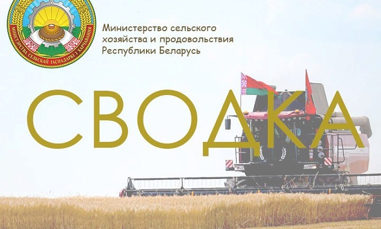 Темпы уборки ячменя в Беларуси опережают прошлогодние показатели