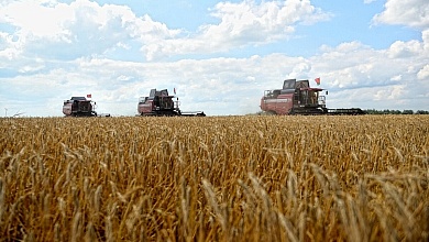 Белорусские аграрии намолотили 5 миллионов тонн зерна