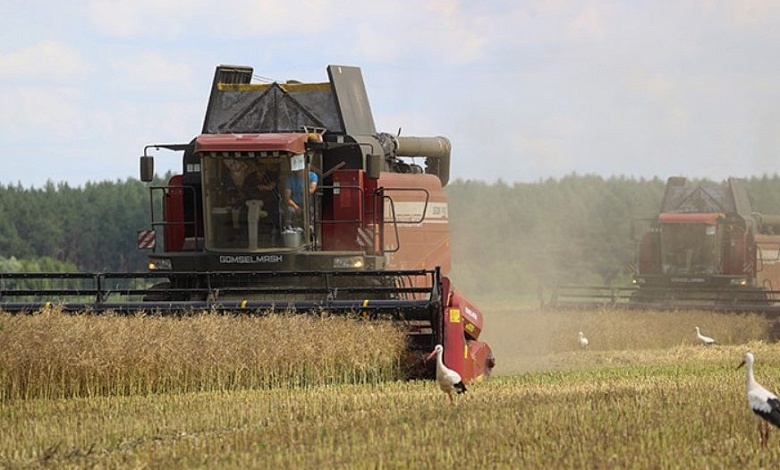 Новый день – и новые результаты на жатве-2025 в Лунинецком районе
