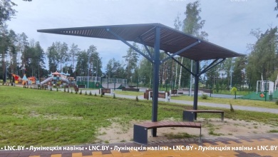 В Микашевичах продолжается благоустройство лесопарка