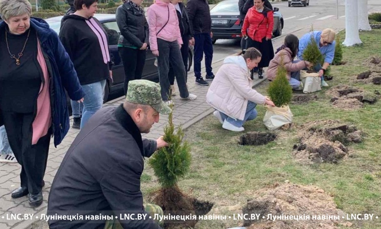 Еще одна аллея выпускников появилась в Лунинце