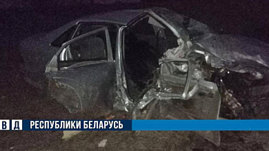 Житель Столинского района пьяным сел за руль: погибли жена и годовалый сын, тяжко травмирована дочь