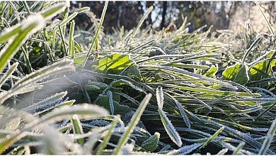 Когда это закончится! Заморозки до минус 4 градусов, предупреждают синоптики 