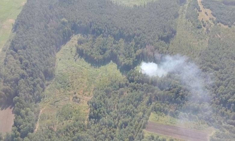 Горят леса в Брестской области