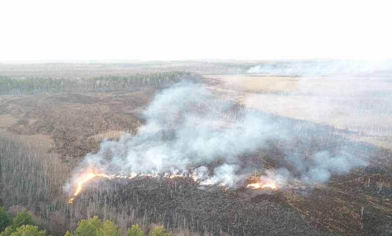 Посещение лесов под полным запретом в Брестской области