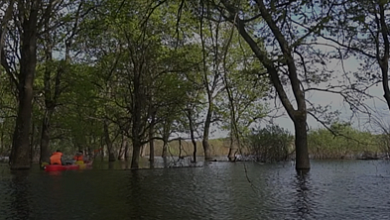 Почему стоит поехать в Полесье? Отдых с уникальным кодом 