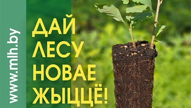 Лунинецкий лесхоз приглашает принять участие в акции "Дай лесу новае жыццё!"