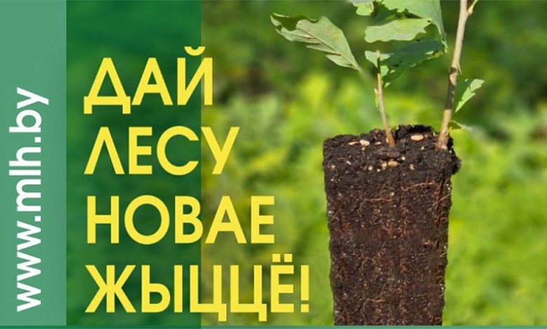 Лунинецкий лесхоз приглашает принять участие в акции "Дай лесу новае жыццё!"