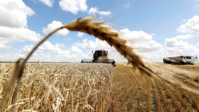 Уборка зерновых в Лунинецком районе: результаты на 1 августа