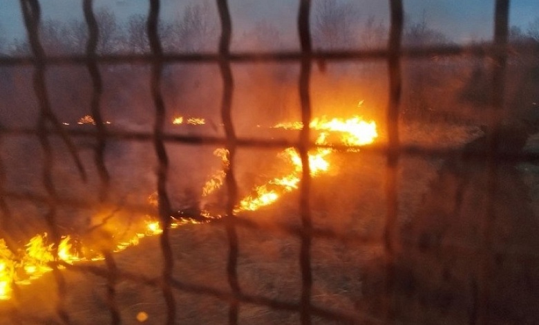 Ликвидированы возгорания в пойме Припяти 