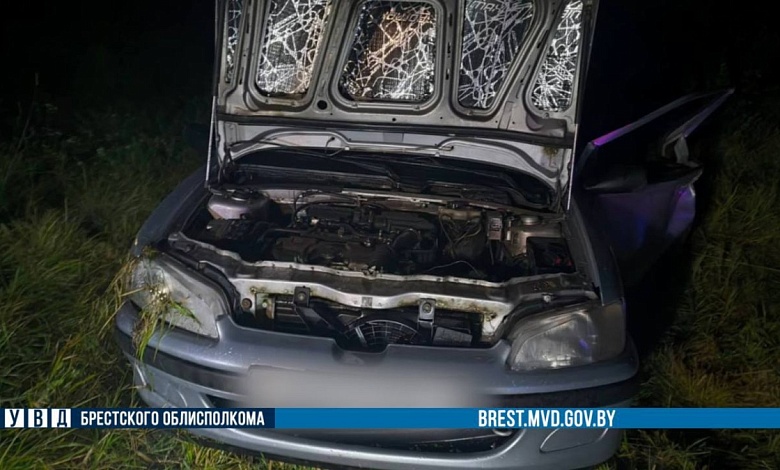 Пьяный водитель «Mercedes» совершил ДТП в Кобринском районе   