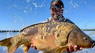 Ловля карпа стала спортом в Беларуси