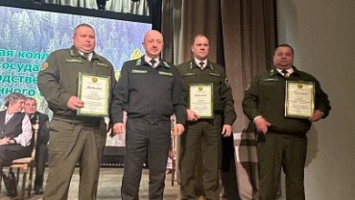 Лунинецкий лесхоз один из лучших в Брестской области по всем показателям