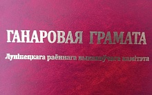 Узнагародамі адзначаны медыцынскія работнікі Лунінецкага раёна 