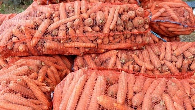 Закладка плодоовощной продукции в стабфонды: сколько есть?