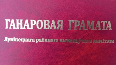 Узнагародамі адзначаны медыцынскія работнікі Лунінецкага раёна 