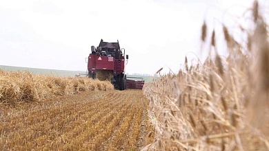 Уборочная кампания в Лунинецком районе под надзором прокуратуры