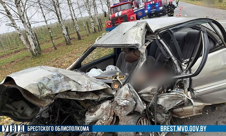Водитель врезался в дерево и погиб в Столинском районе