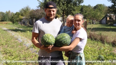 В гармонии с миром | Как выращивают арбузы в Лунинецком районе