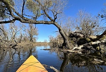 Необычные экскурсии: в сапогах по "морю Геродота" Припятского Полесья