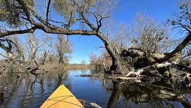 Необычные экскурсии: в сапогах по "морю Геродота" Припятского Полесья