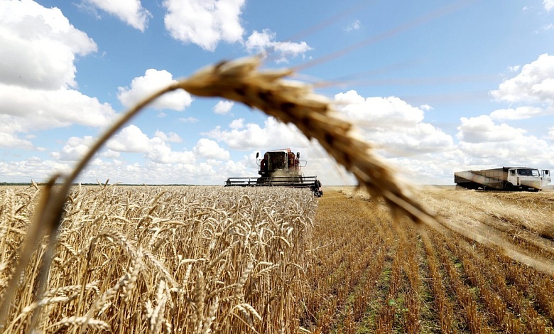 Уборка зерновых в Лунинецком районе: результаты на 1 августа