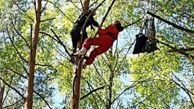 Спасатели сняли с дерева парашютистку в Брестской области