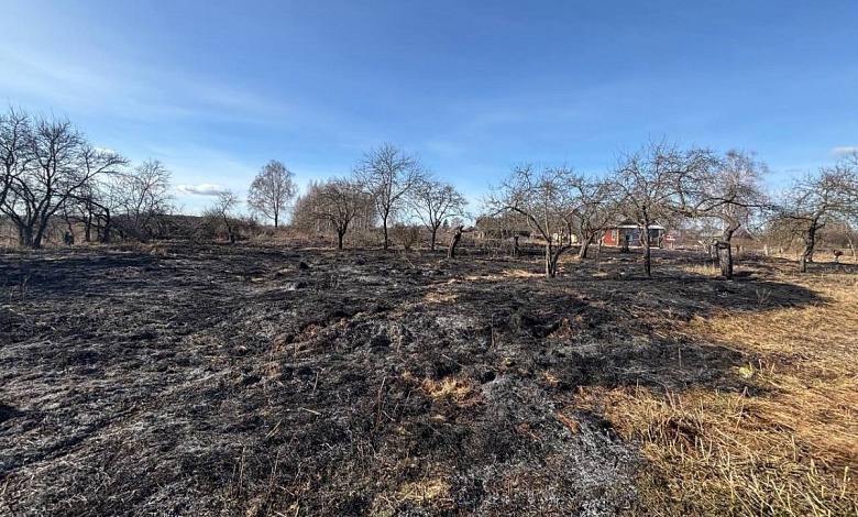 "Каждую весну соседи жгут прошлогоднюю траву". Разрешены ли палы и как избежать опасности?