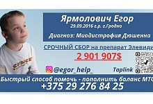 Ярмоловичу Егору нужна помощь!