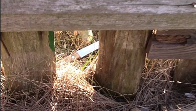 Стали известны обстоятельства убийства в Столинском районе