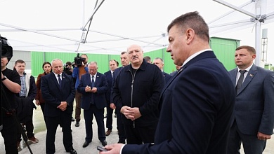 "Это наша перспектива". Александр Лукашенко о производстве пеллет и использовании местных видов топлива