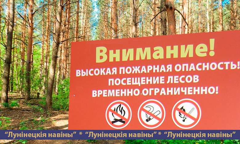 На Лунинетчине введен запрет на посещение лесов