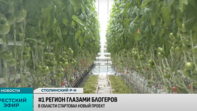 Целый удивительный мир Полесья | Блогеры наехали в Столинский район