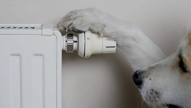 Отключение отопления: сроки и условия разъяснили в "Белэнерго"