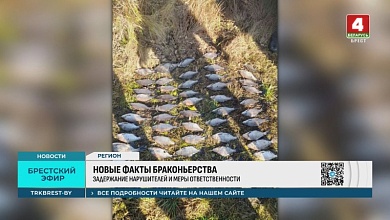 Браконьеры разбушевались в Брестской области