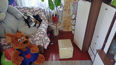 Житель Брестской области похитил сбережения своей «тёщи». Он задержан